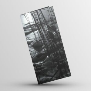 Képeslap - Dr. Vass Alberik: Téli nádas (B001)